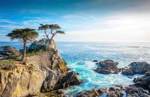 Monterey Bay Escape - Foto 42