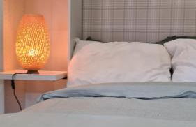 Musa Paradisiaca 6, un angolo tropicale a Torino - Foto 19