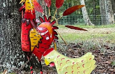 Rustic Mountaintop Cabin on small farm with WiFi - Foto 31