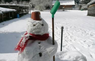 Ferienwohnung GABI - Foto 25