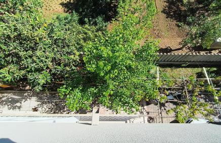 Casa vacanze Annina - Foto 34