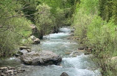 El Estacho de Panticosa - Photo 27