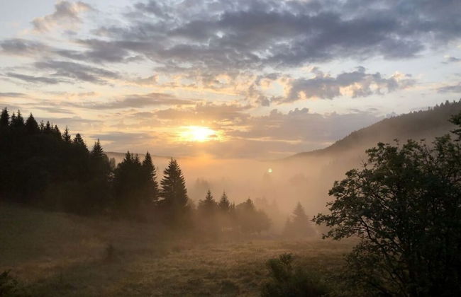 Kassler Comfortable Holiday Residence - Foto 11