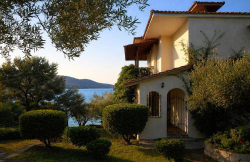 Blue Dandelion - Photo 28