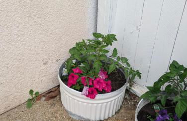 Oceano Unit B - Foto 13