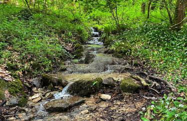 Cupcake Cottage: Quintessential Cotswold Cottage - Foto 25