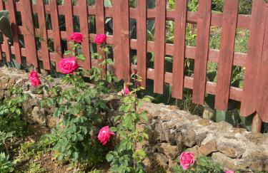 Rural House to take a Break, La Serreria 25 - Private garden - Foto 6