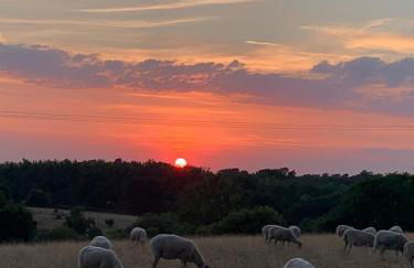 Sunset Cottage - Foto 10