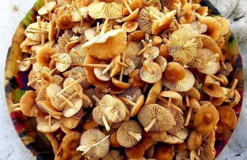 Studio cosy Chez Ré - Foto 12