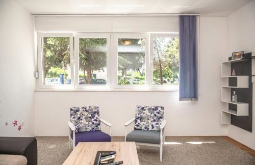 Sunny & Spacious, 2 BR apartment with free parking - Photo 1