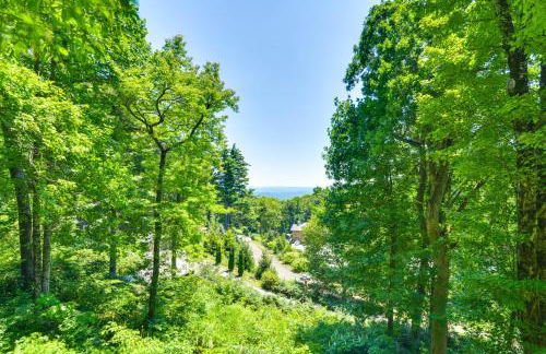 La Petite Chalet with Views in Blue Ridge Mtns! - Foto 25