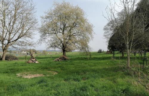 Le 115 Retour aux Sources - Foto 27