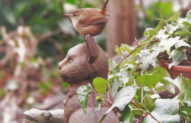 La Traversina - Agriturismo di Charme - Foto 39