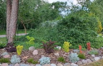 Sielanka Wydmy i Las - Foto 17