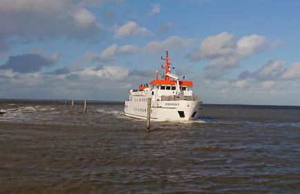 Habbo's Kojen - Photo 11