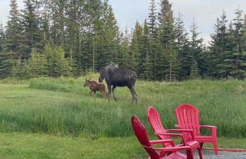 Big Moose Cabin at Moose Tracks - Foto 22