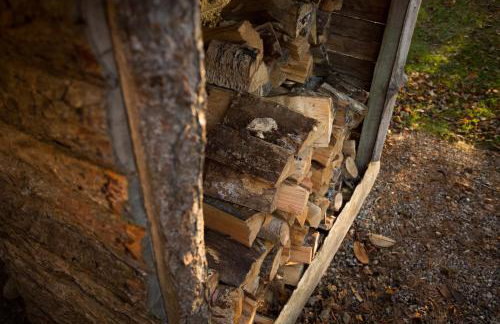 The Mains - Photo 12