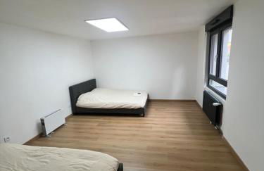 106 route de Mittelhausbergen - Photo 5