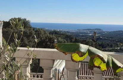 Villa Lloret Blau - Foto 15