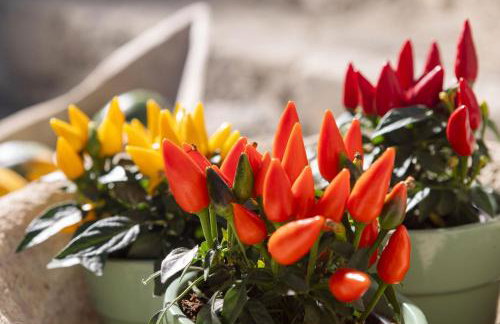 Villa Helidona With Private Pool - Photo 18