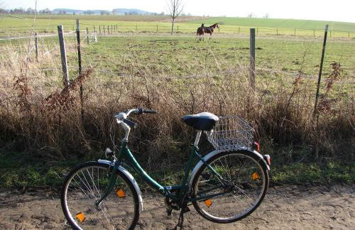 FEWO 16, Herrenhaus Blengow, Lindenallee 21, Ostseebad Rerik - Foto 14