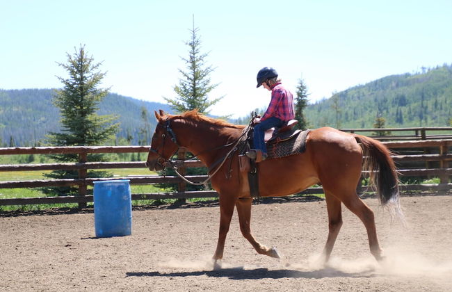 Vista Verde Ranch All-inclusive Cabin - Photo 12
