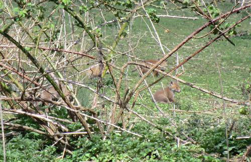 Lakeview Holidays - Foto 43