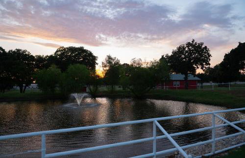 Dog-Friendly Texas Ranch with Patio, Horses On-Site - Foto 30
