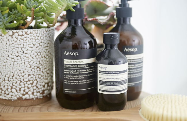 Flourish On Bull - Photo 15