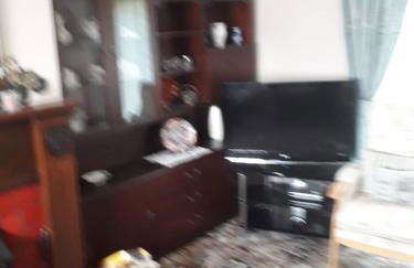 Aunt Mollie's Cottage - Foto 36