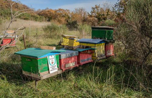 Il Capriccio del Papa - Foto 84