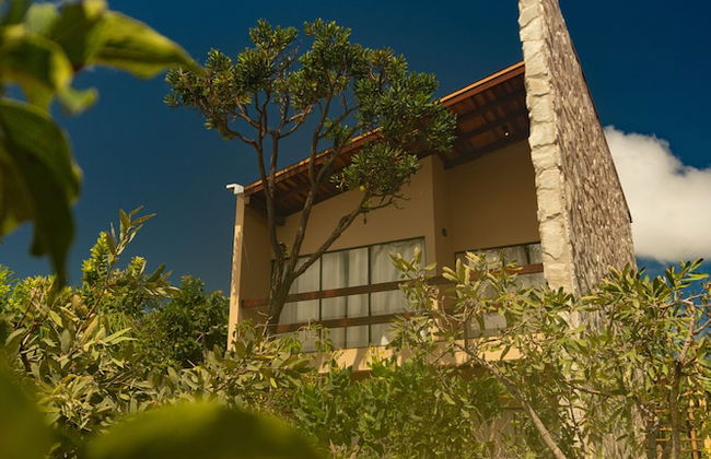 Lofts Lobo Guara - Foto 25