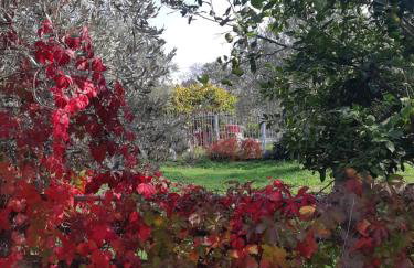 KONTOGIANNIS lihas club 2 - Photo 23