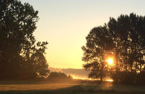 Lindenhof, Wohnung 1, Giebel - Foto 31