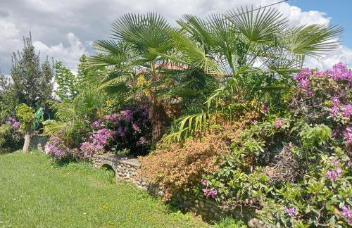 Residenza il Rododendro - Foto 13