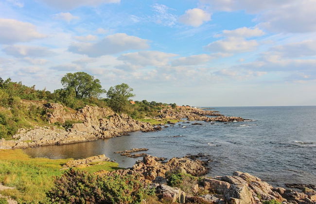 "Thorsten" - 500m from the sea - Foto 17