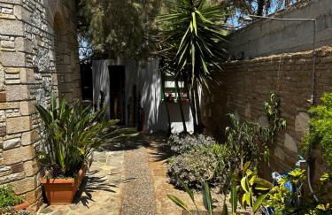 APIJA Studio - Foto 19