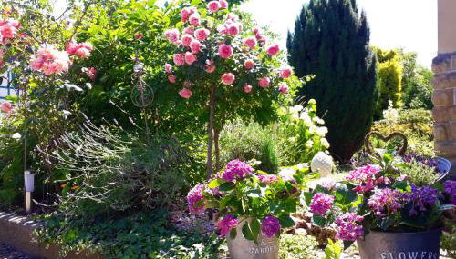 VILLA FREIA Dresden - Exklusive Ferienwohnung zum Erholen & Entspannen - Foto 3, Garden