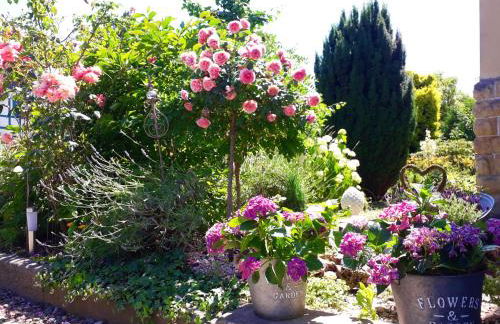 VILLA FREIA Dresden - Exklusive Ferienwohnung zum Erholen & Entspannen - Foto 3