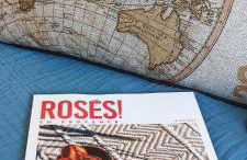 Superbe cocon 3 étoiles -plein sud- parking- proche village et plages - Foto 10