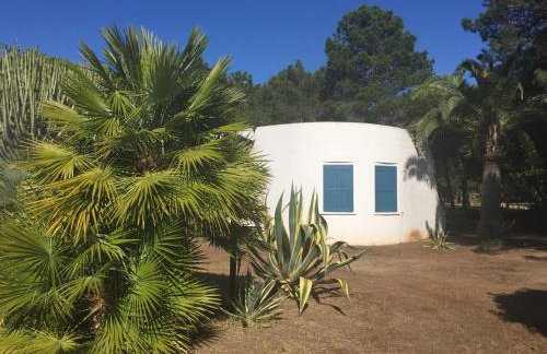 Residenza Gherly - Foto 21