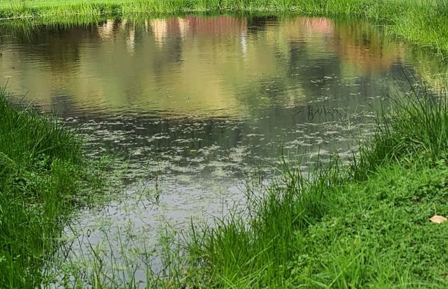 Private Country Cottage - Foto 12