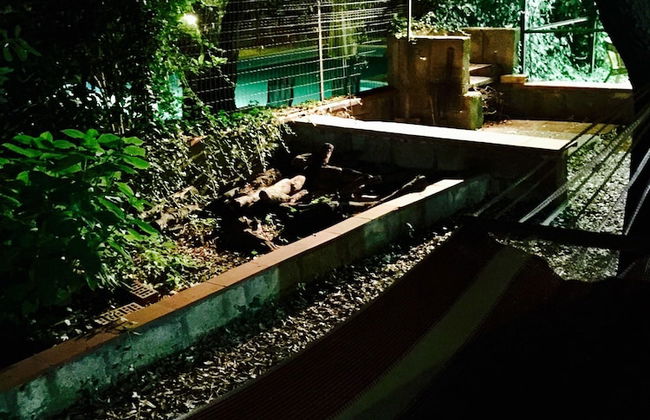 B&B Maremma Nel Tufo - Foto 80