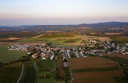 Pension Breitenauer See - Foto 100