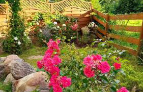 Mała Garda - Foto 24