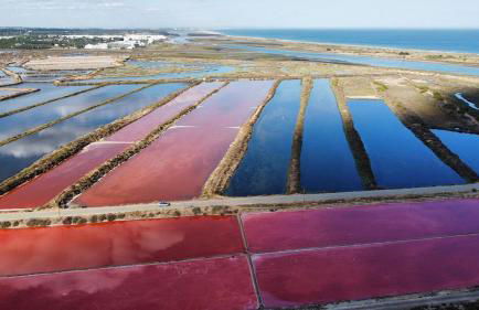 Apartamento Monte da Eira - Foto 24