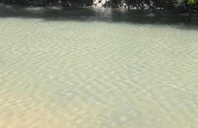 Studio Flat Gavoa Resort - Vista incrível de Itamaracá - Foto 22