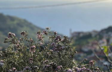 Casa Morena - Private Tropical Oasis - Foto 34