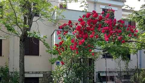 Apartman Adrijana Kastav, free WiFi & parking, 2 bedrooms & sea view - Foto 2