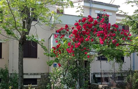 Apartman Adrijana Kastav, free WiFi & parking, 2 bedrooms & sea view - Photo 2